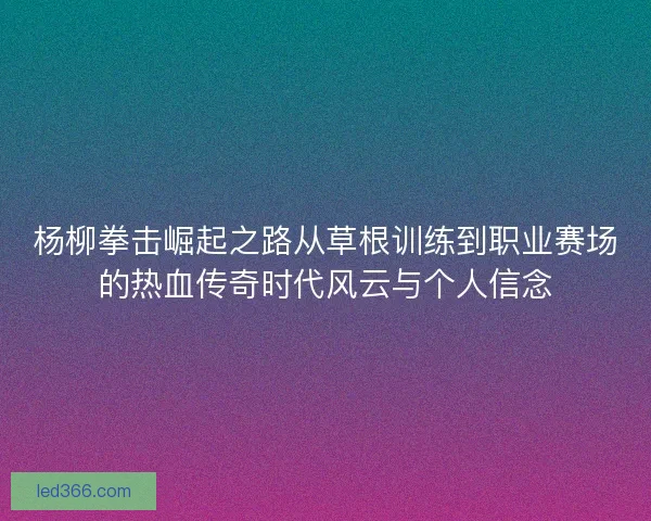 杨柳拳击崛起之路从草根训练到职业赛场的热血传奇时代风云与个人信念